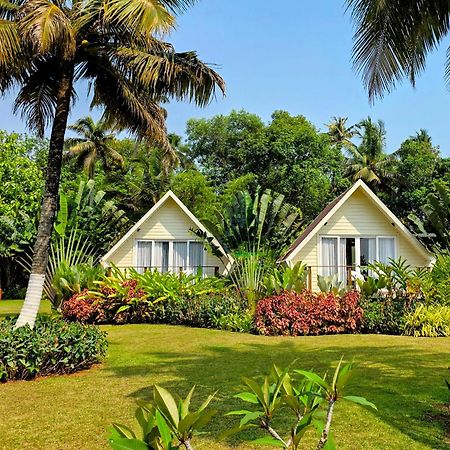 Ether Marari Beachfront Mararikulam Extérieur photo