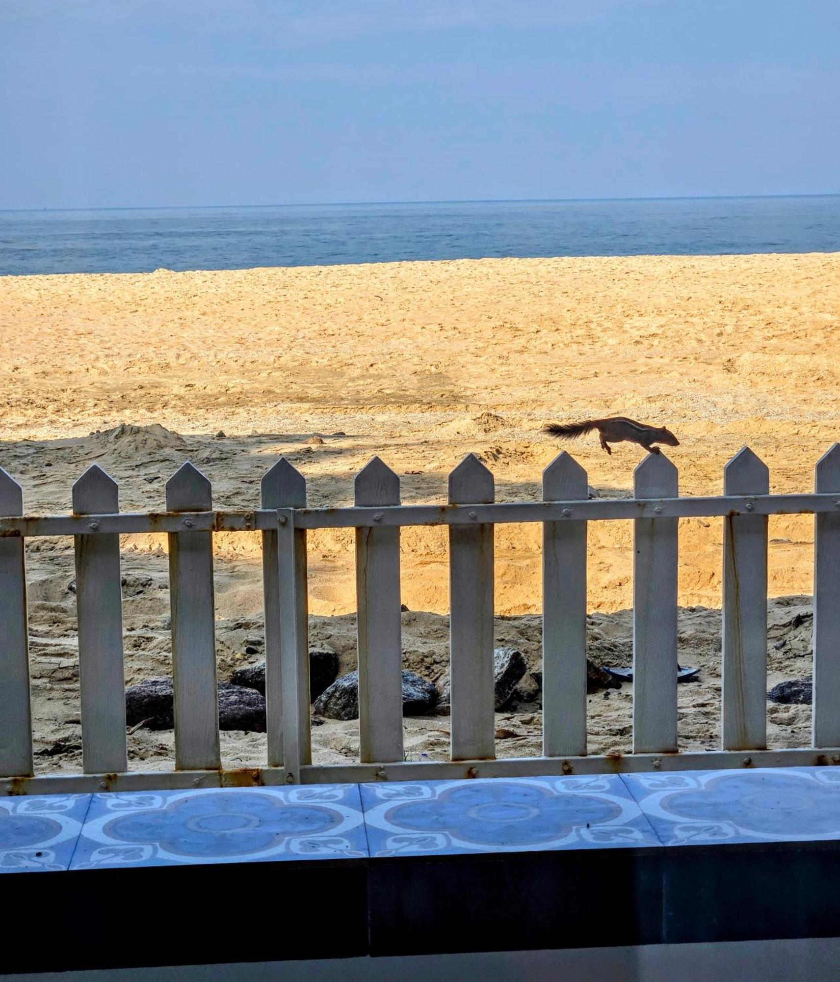Ether Marari Beachfront Mararikulam Extérieur photo
